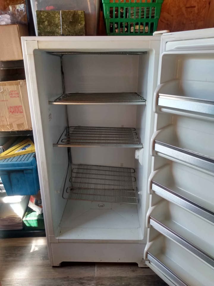Stand up freezer - photo 3