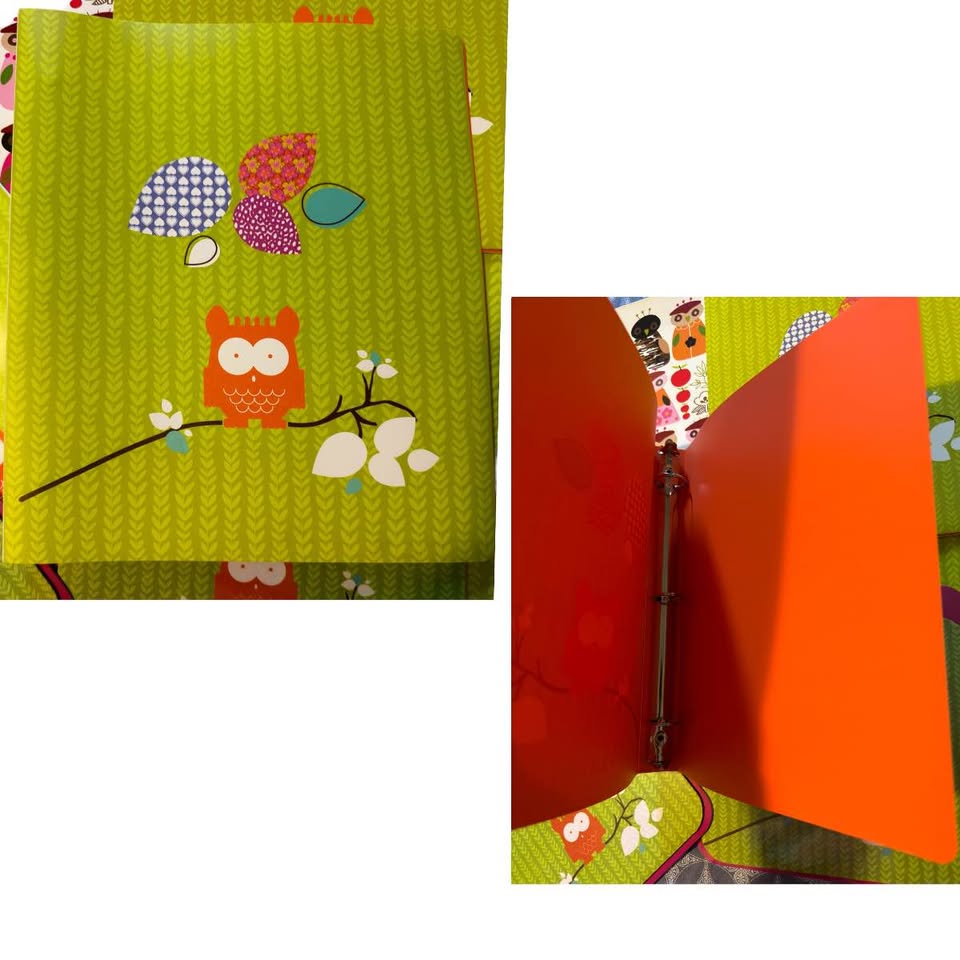 *New* Owl Design Set of School Supplies/Stationery/Office - photo 3