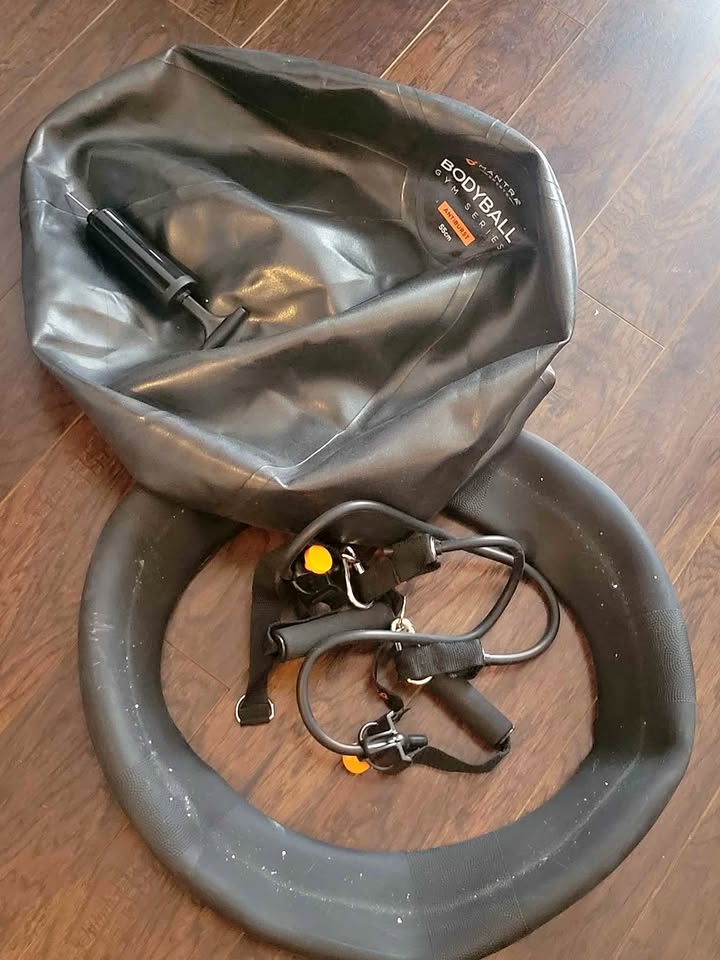 BODYBALL GYM SERIES EXERCISE BALL