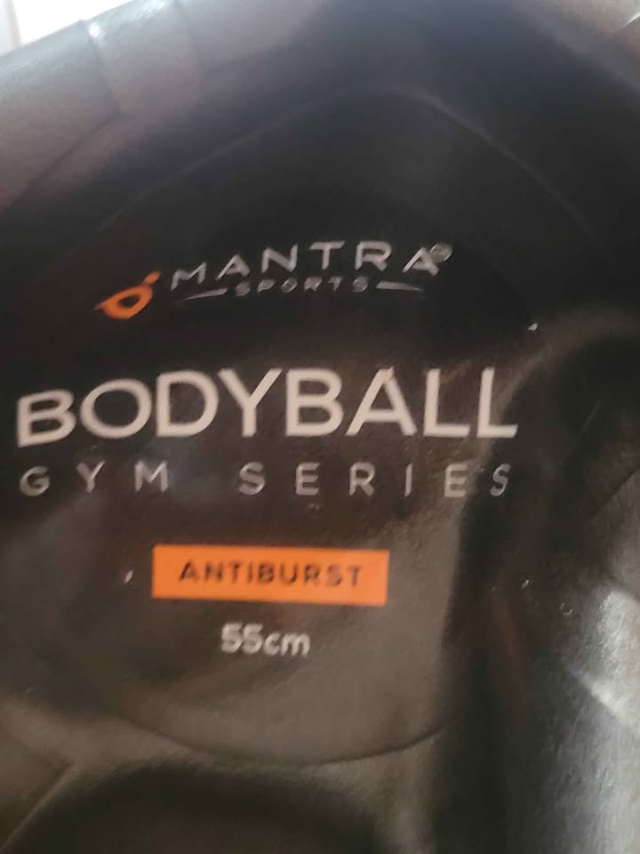 BODYBALL GYM SERIES EXERCISE BALL - photo 2