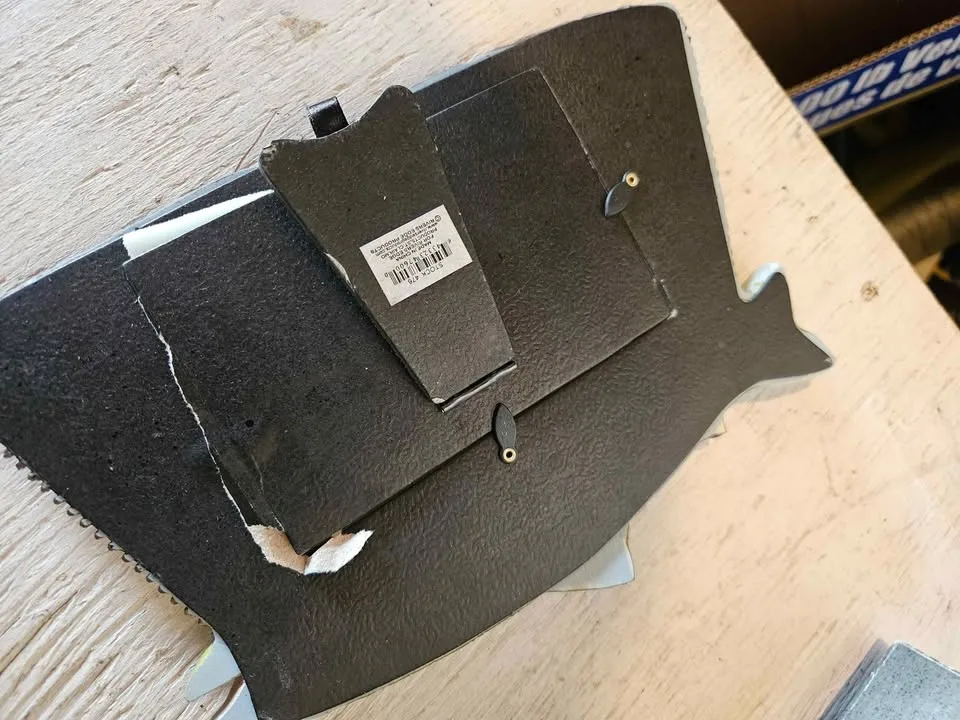 Novelty Brook Trout Picture frame image indicator(10)