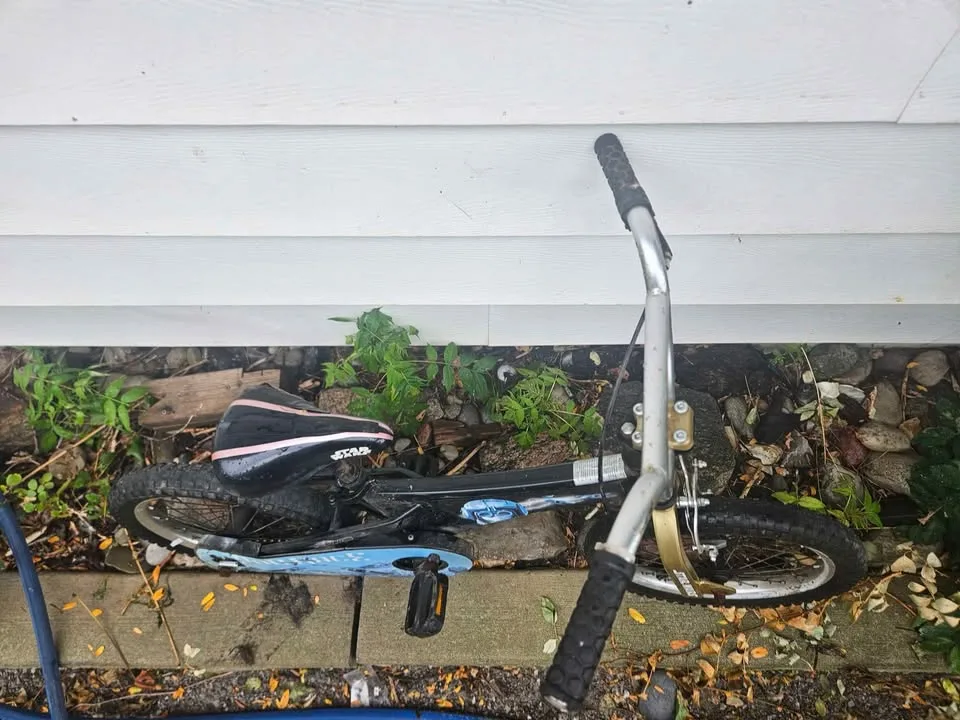 Star Wars Episode 1 Kids Bike Collectible image indicator(6)