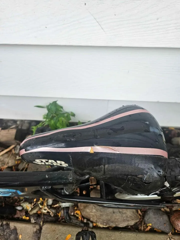 Star Wars Episode 1 Kids Bike Collectible image indicator(10)