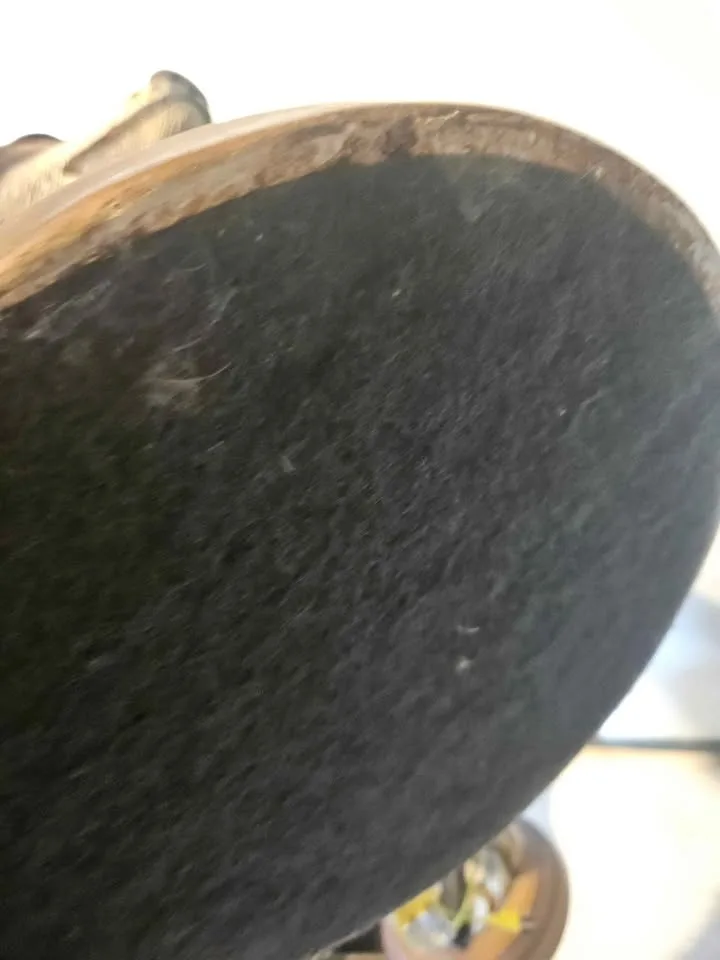 Pair of Ceramic Wolf Lamps image indicator(10)