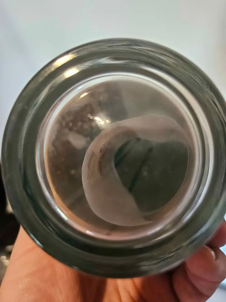Brand New Arbonne Glass Travel Mug image indicator(4)