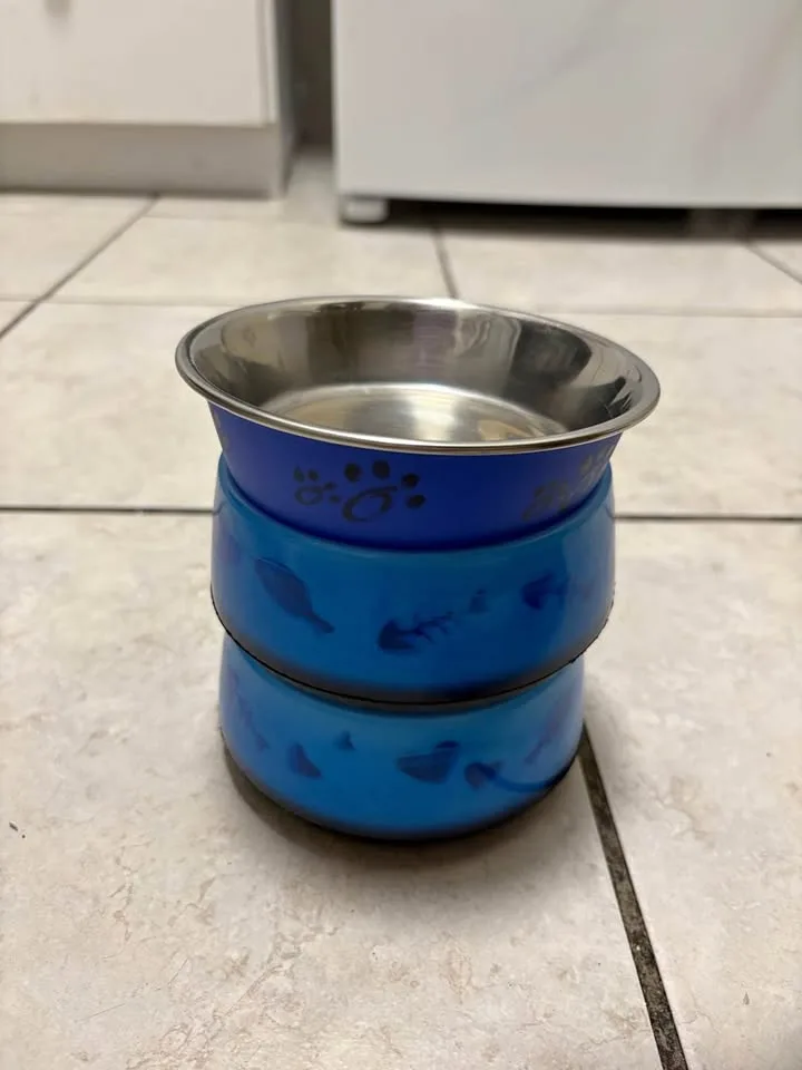 Cat Bowls thumbnail