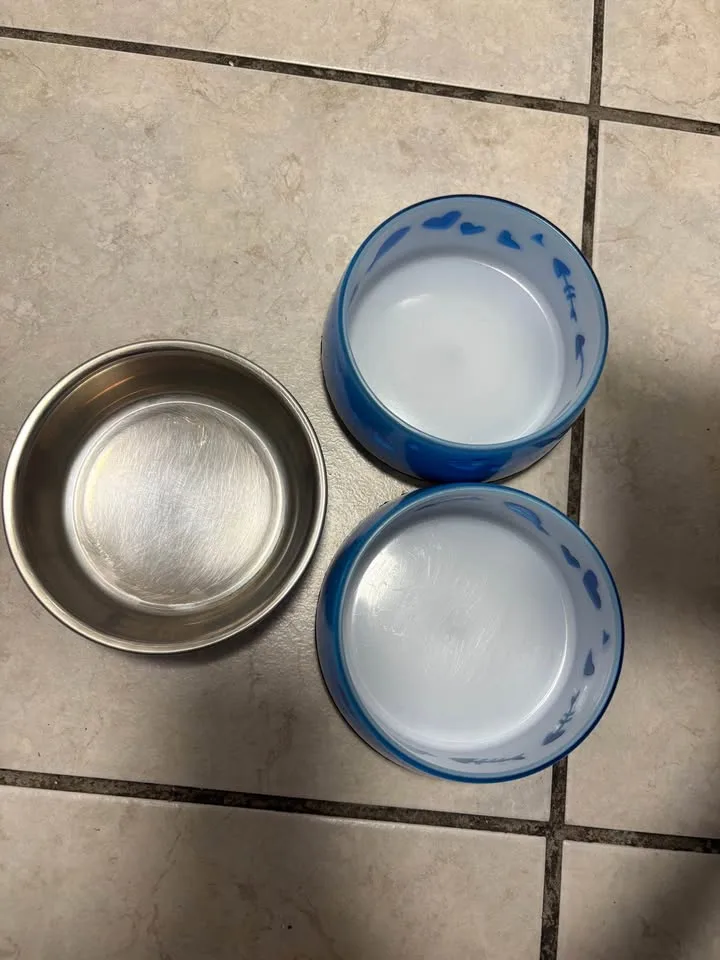 Cat Bowls image indicator(2)