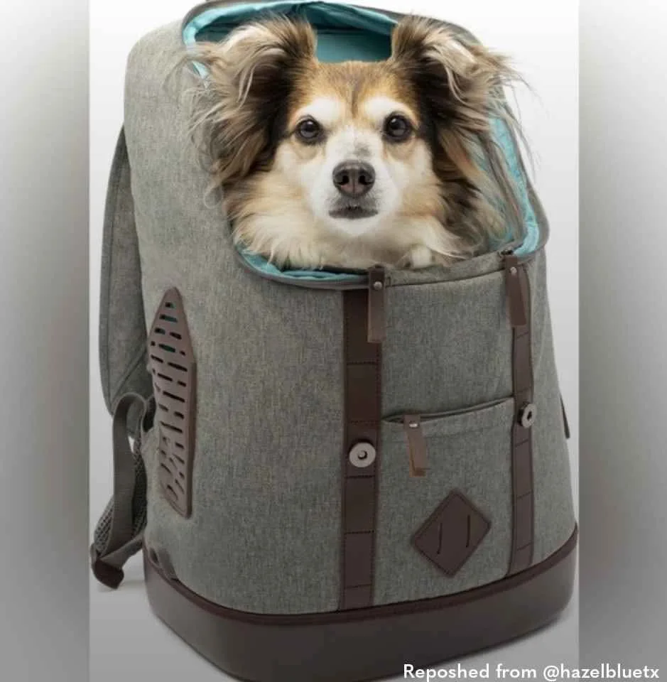 Kurgo K9 Rucksack image indicator(10)