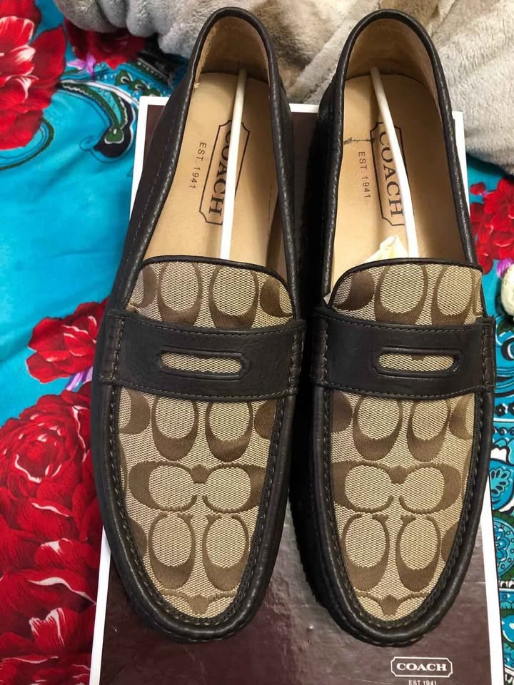 Coach Shoes [BRAND NEW]