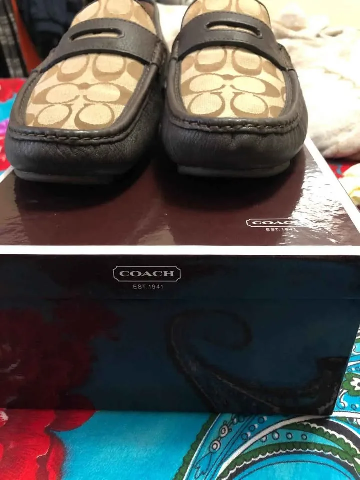 Coach Shoes [BRAND NEW] image indicator(2)