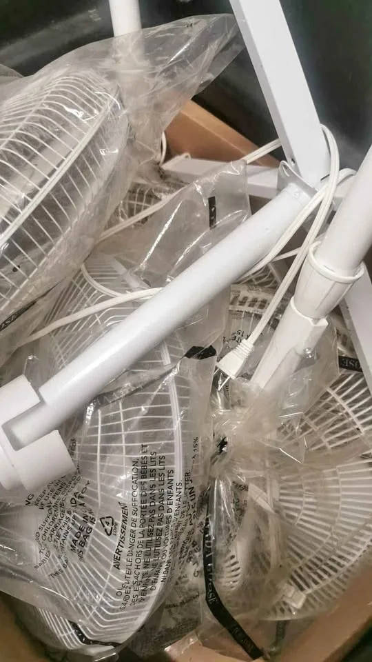 Electric fans thumbnail