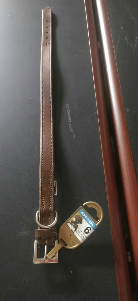 Leather collar image indicator(2)