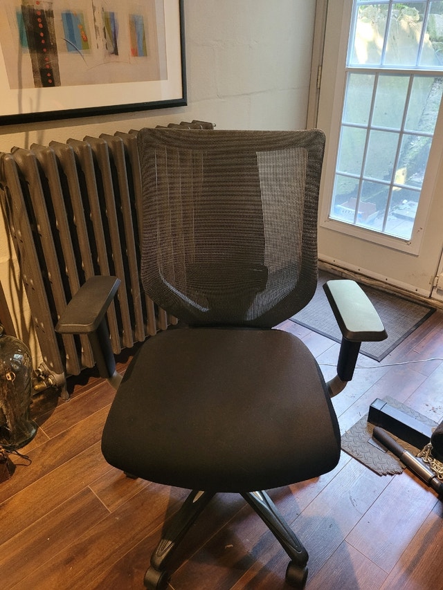 Office Chair from Costco