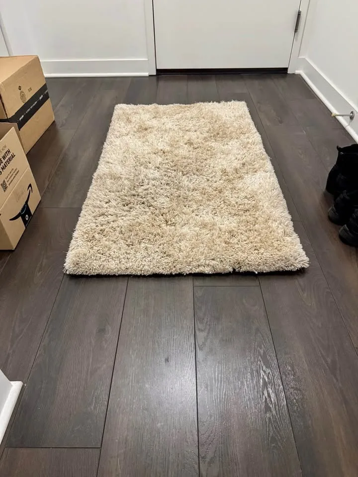 Safavieh South Beach Shag Rug Cream/White 4x2 image indicator(2)