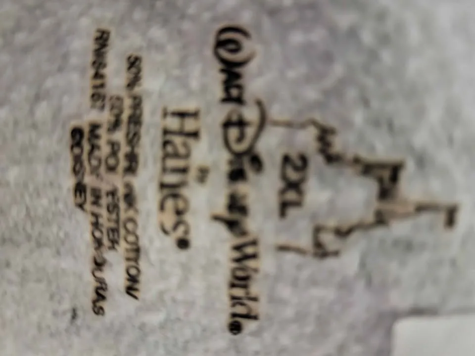 Disneyland Hoodie. Full Zip image indicator(2)