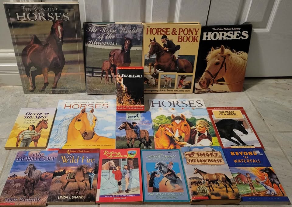 Horse Novels and Educational Books - photo 3