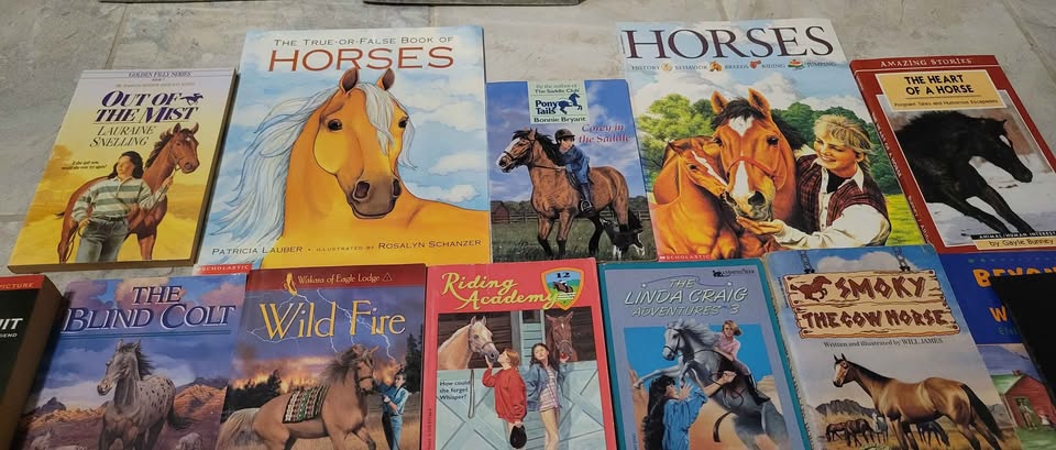 Horse Novels and Educational Books - photo 4