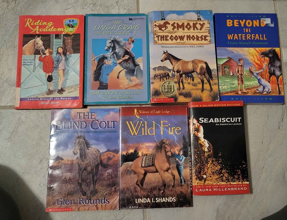 Horse Novels and Educational Books - photo 5