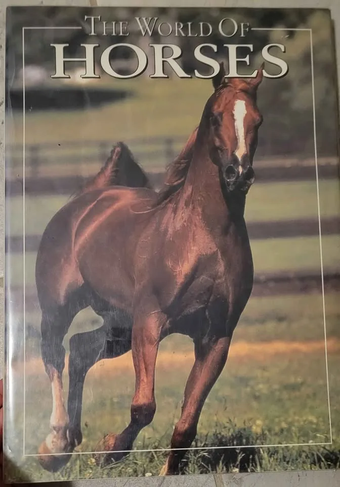 Horse Novels and Educational Books image indicator(6)