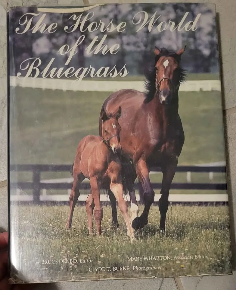 Horse Novels and Educational Books image indicator(7)