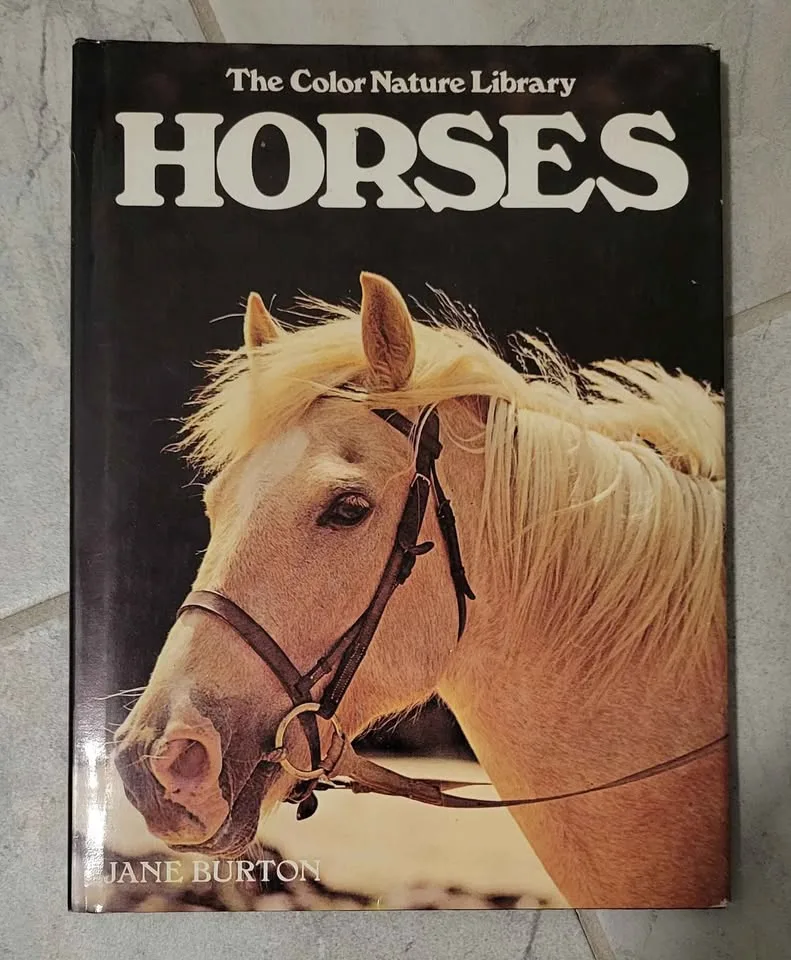 Horse Novels and Educational Books image indicator(8)