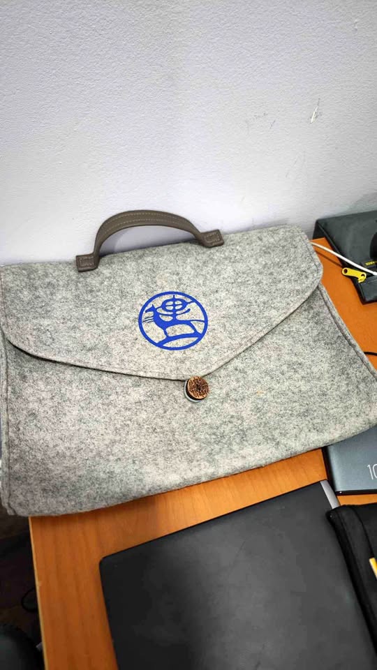 Laptop Bag from felt