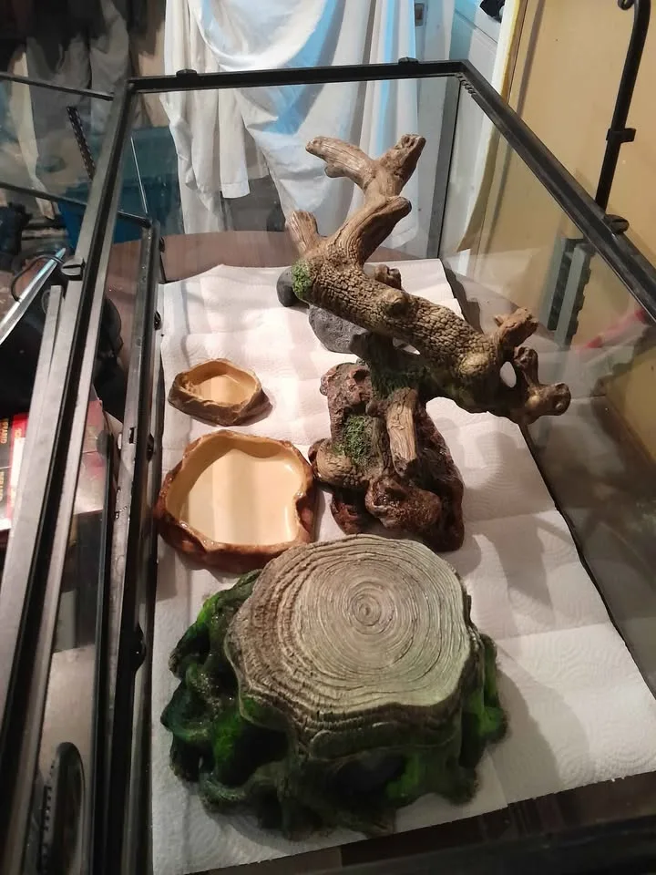 Exoterra reptile encloser..full setup.400 obo ..must take all image indicator(4)