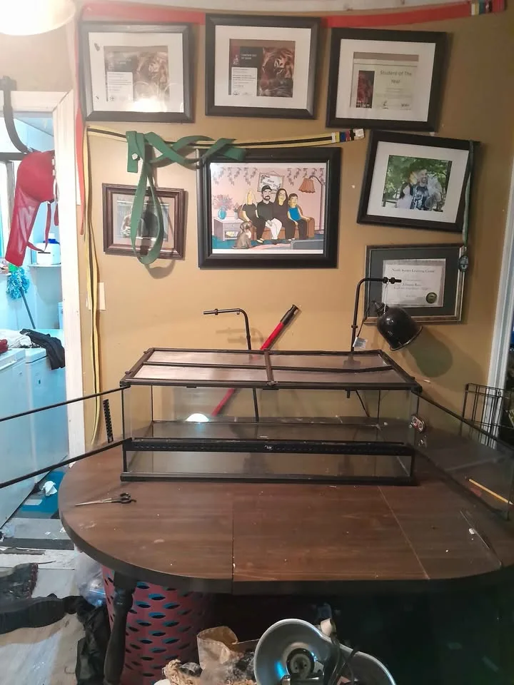 Exoterra reptile encloser..full setup.400 obo ..must take all image indicator(5)