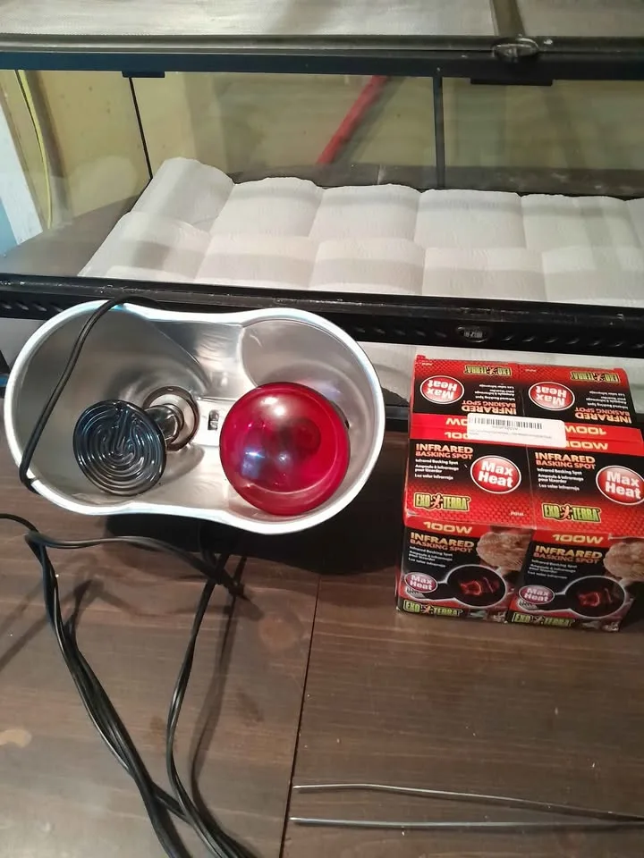 Exoterra reptile encloser..full setup.400 obo ..must take all image indicator(6)