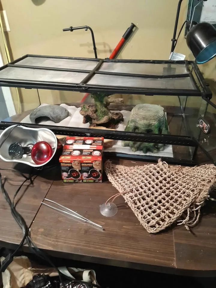Exoterra reptile encloser..full setup.400 obo ..must take all image indicator(7)