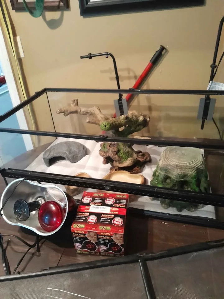 Exoterra reptile encloser..full setup.400 obo ..must take all image indicator(8)