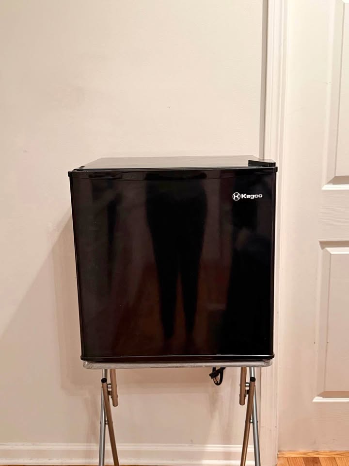 Black Mini Fridge Refrigerator