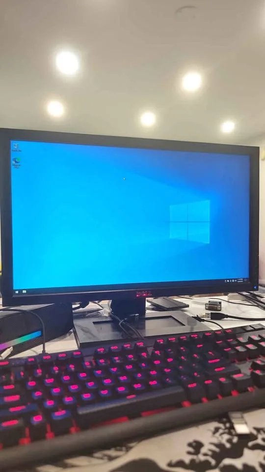 Dell 22 inch monitor (VGA and dvi)