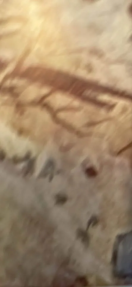 Charles M Russell Print - “A Disputed Trail” - 14” x 10.5” image indicator(5)