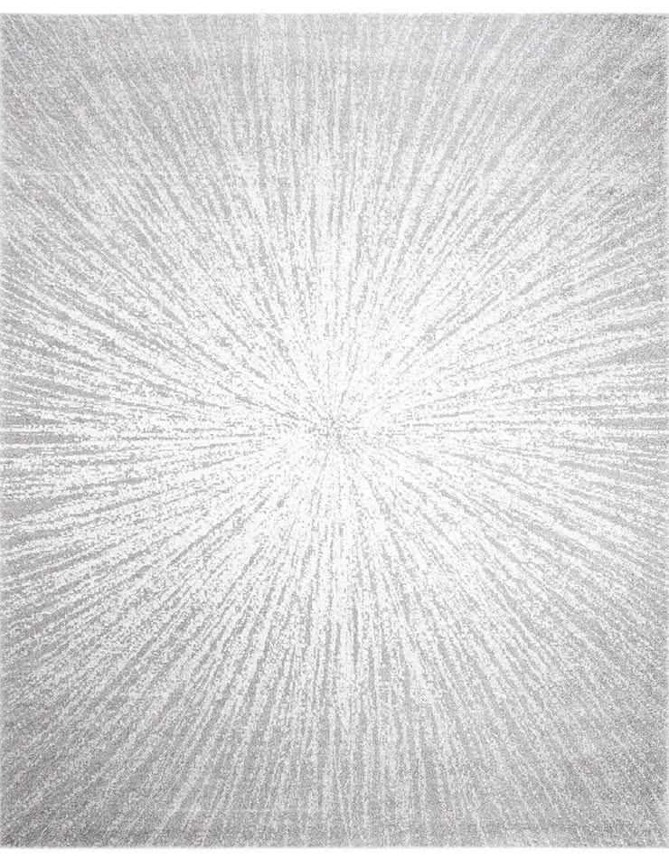 SAFAVIEH Area Rug 8x10 - photo 3