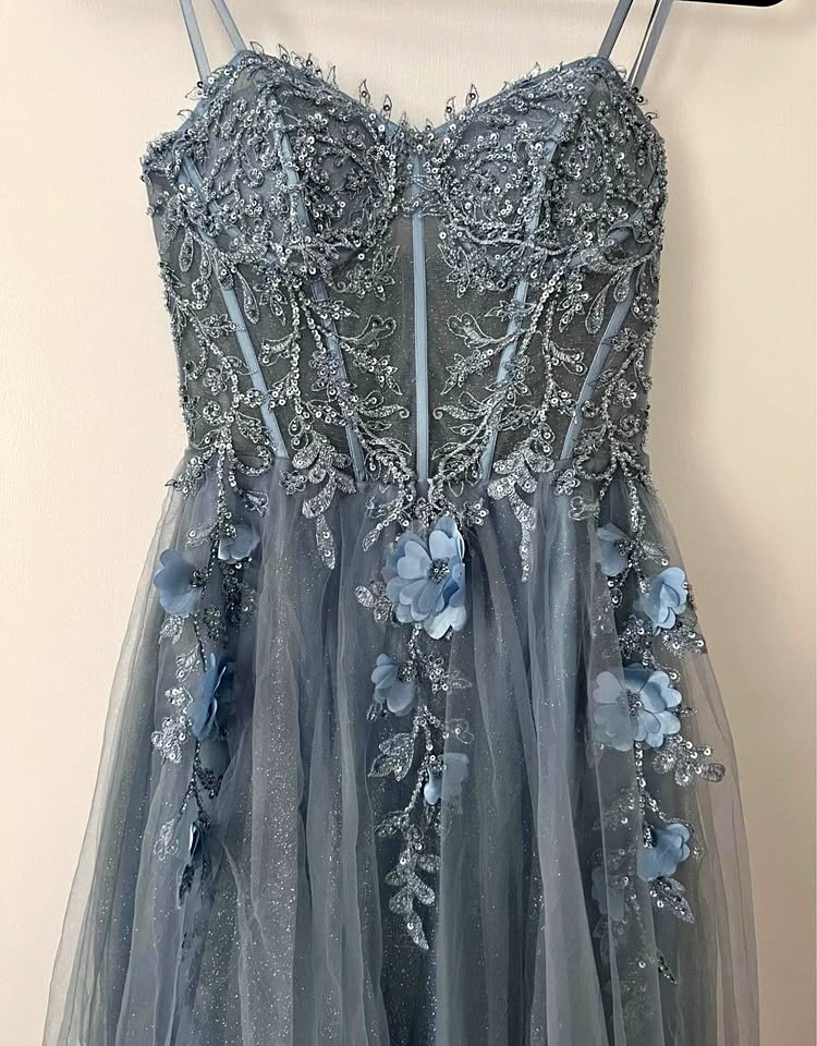 Dress/Gown Strapless