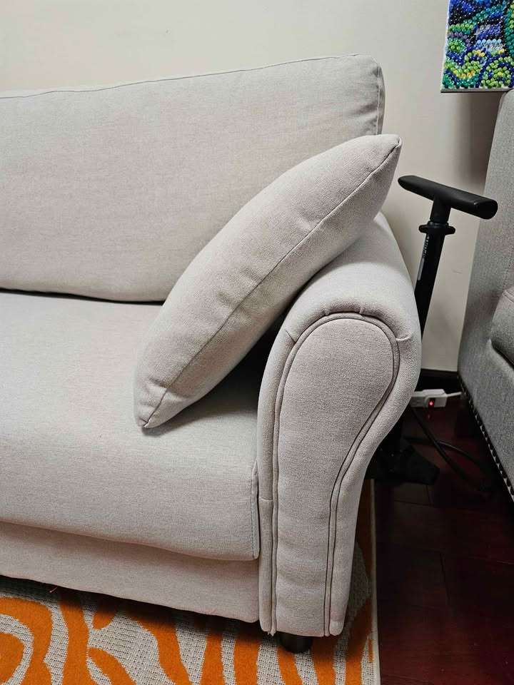 Sofa (loveseat type) - photo 2