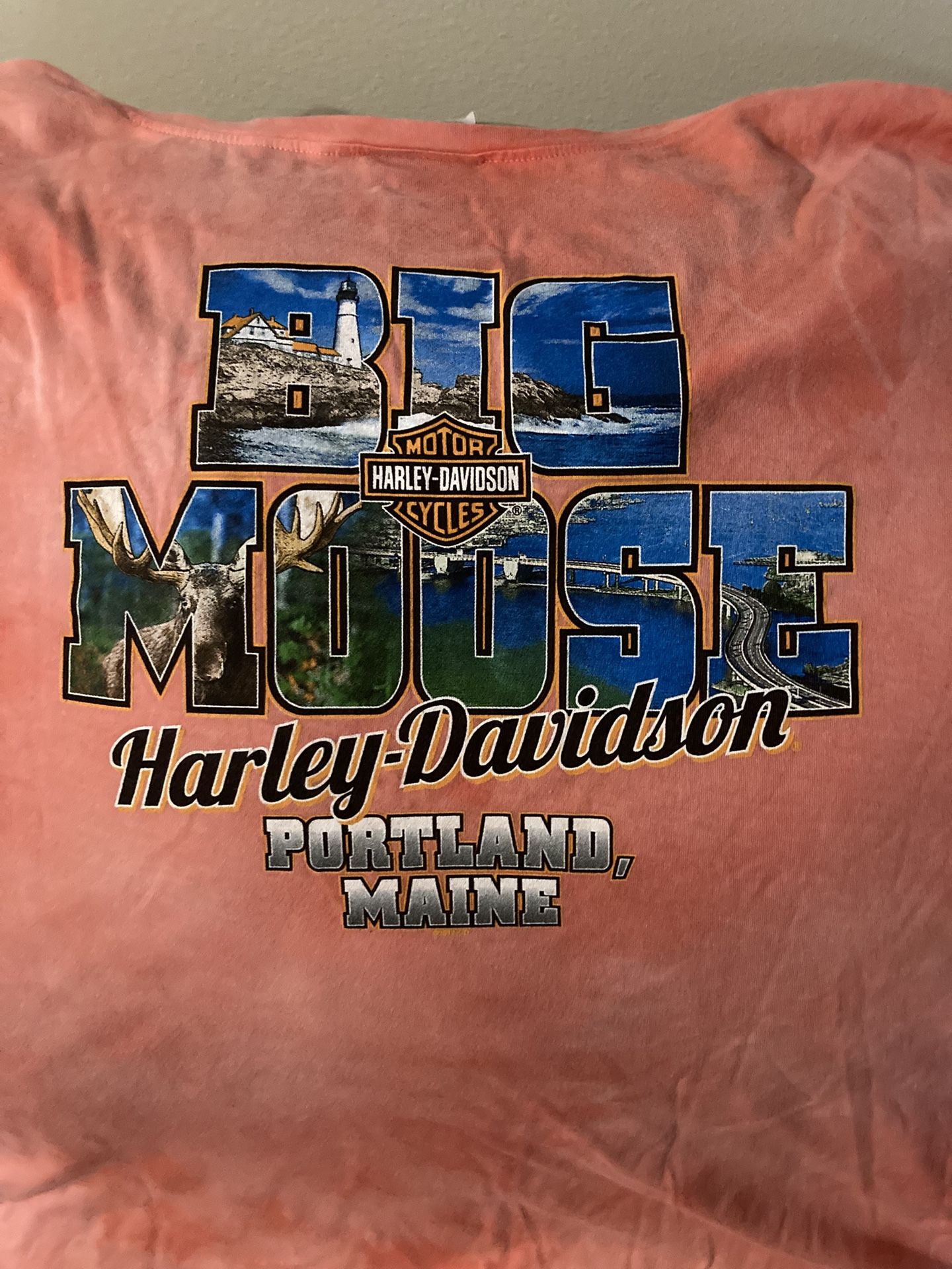 Harley Davidson Shirts - photo 4