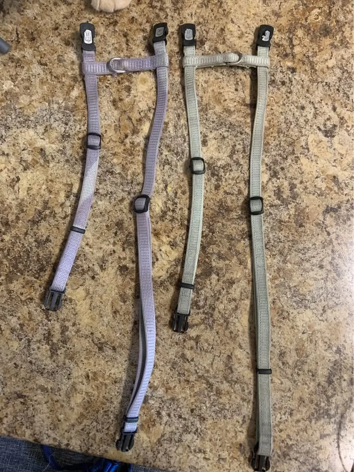 Cat/ Bunny Harness Leash & Food Dish image indicator(3)