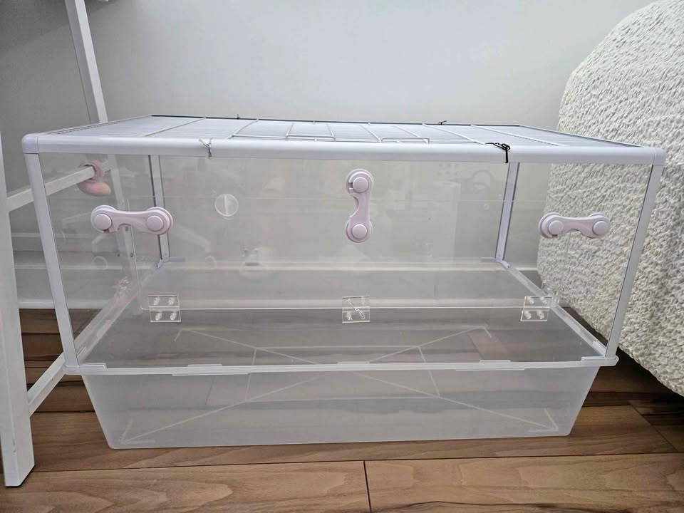 Hamster acrylic plastic cage with all other leftovers