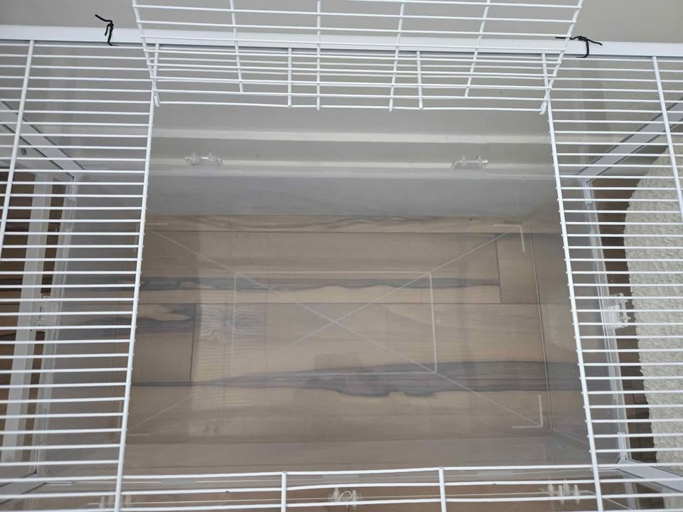 Hamster acrylic plastic cage with all other leftovers - photo 2