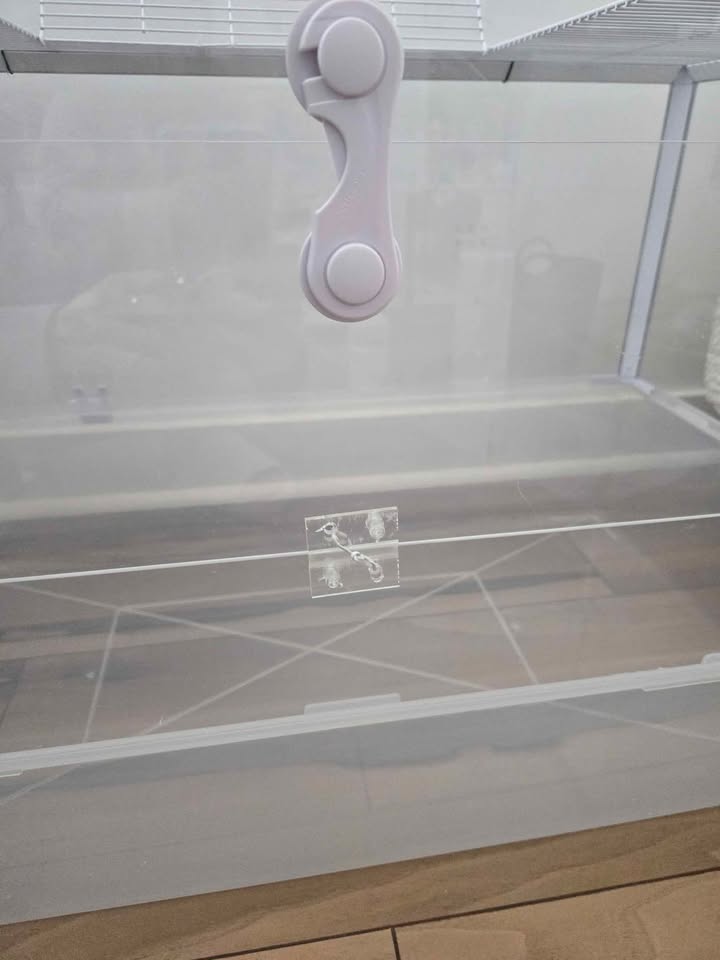 Hamster acrylic plastic cage with all other leftovers - photo 3