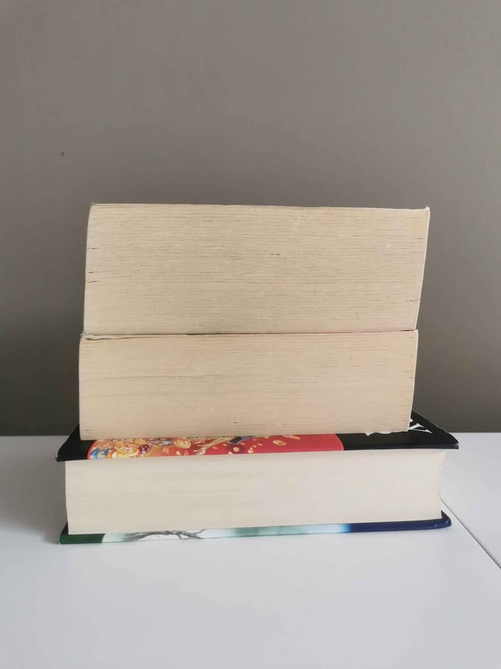 3 Harry Potter Books - photo 5