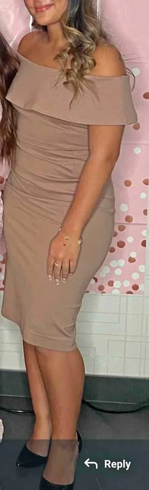 Babaton Iritizia Womens Dress Size 4