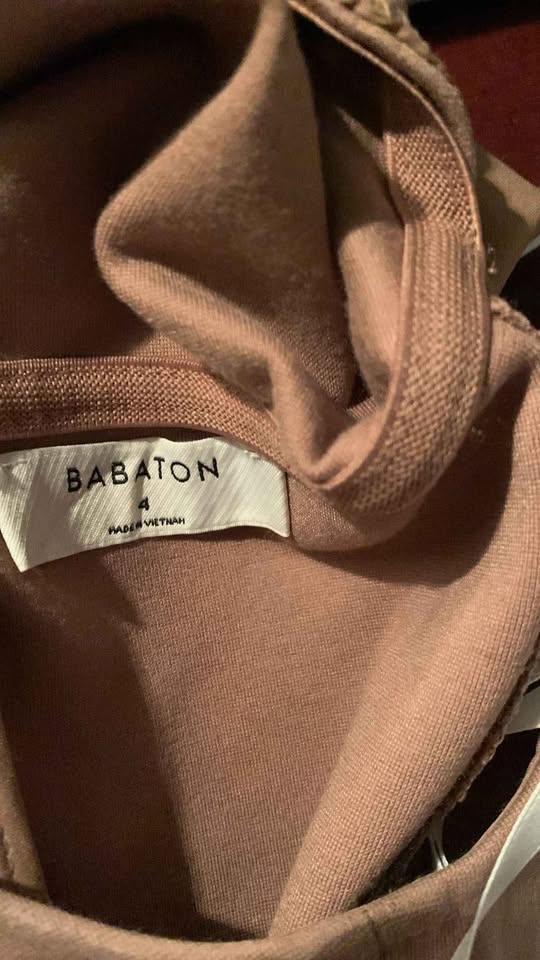 Babaton Iritizia Womens Dress Size 4 - photo 2