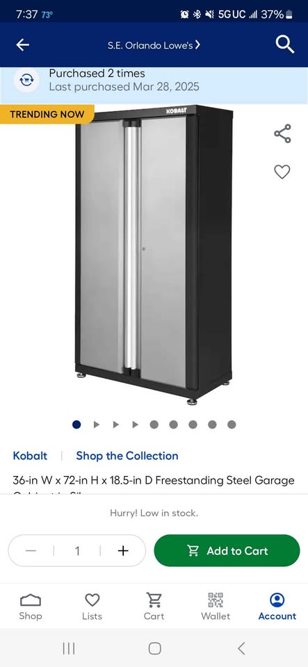Kobalt Freestanding steel Garage Cabinet in Silver - photo 2