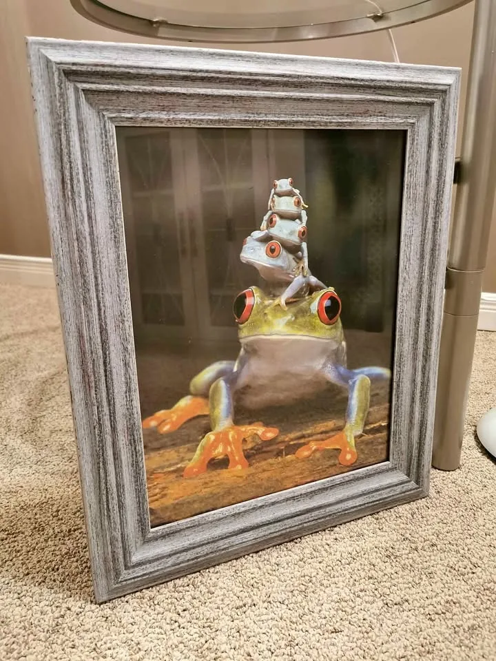 Solid Wood Framed HD Tree Frogs Photograph Print Poster thumbnail