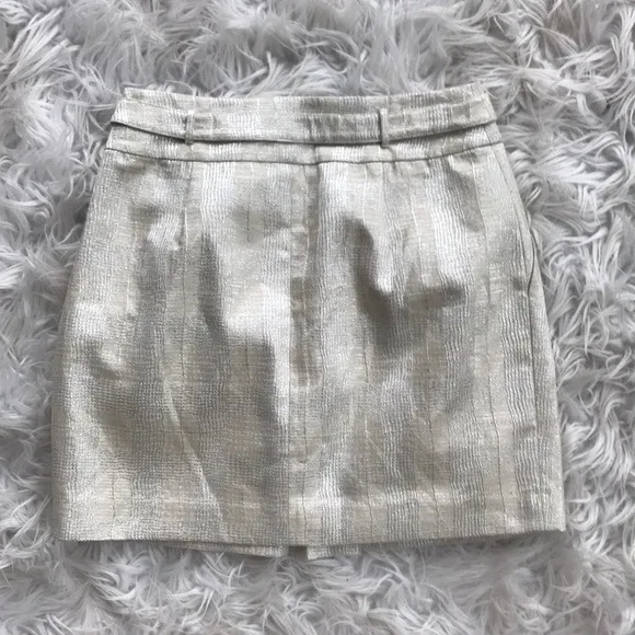 Club Monaco Beige Metallic Miniskirt 00 image indicator(2)