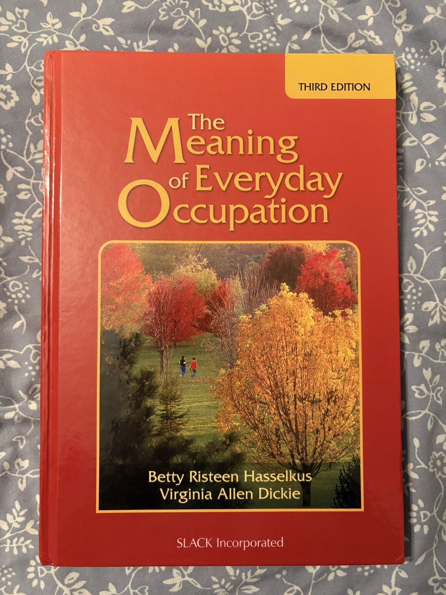 The Meaning of Everyday Occupation