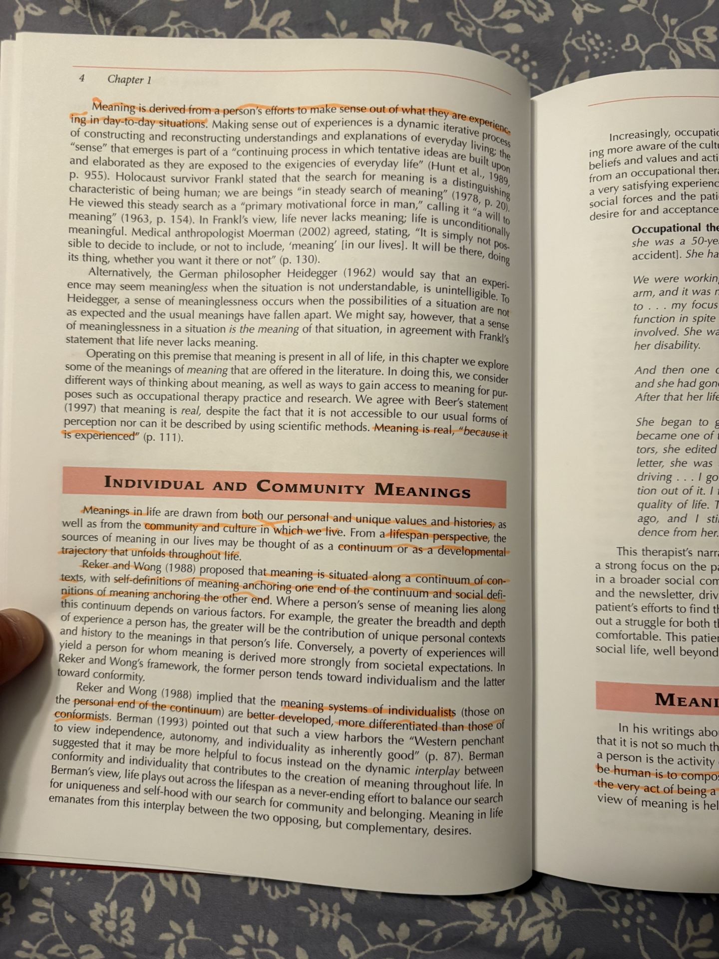 The Meaning of Everyday Occupation - photo 2